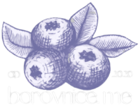 Borovnice.me-logo