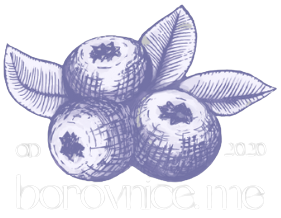 Borovnice.me-logo