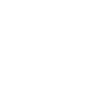 basket-shopping-regular1